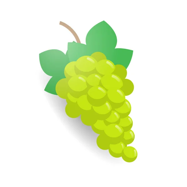 Frais juteux vert branche de raisin icône fruits mûrs savoureux isolé sur fond blanc concept de nourriture saine — Image vectorielle