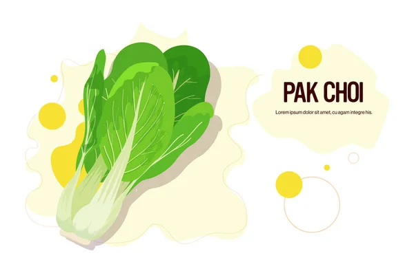 フレッシュグリーンパックチョイステッカーおいしい野菜アイコン健康食品コンセプト横型コピースペース — ストックベクタ