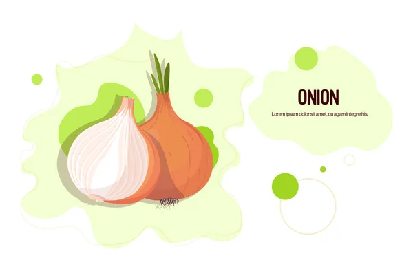 Svěží cibule nálepka chutné zeleniny ikona zdravé potraviny koncept horizontální kopírování prostor — Stockový vektor