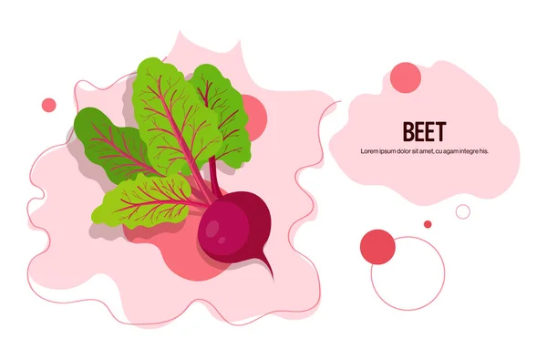Ikon sayuran rasa bit segar konsep makanan yang sehat ruang penyalinan horisontal - Stok Vektor