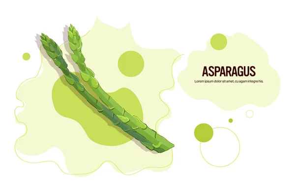Espargos frescos adesivo saboroso ícone vegetal conceito de comida saudável espaço de cópia horizontal — Vetor de Stock