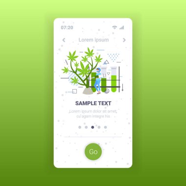 Kadın araştırmacı marijuana fabrikası sağlık eczanesi tıbbi esrar kavramını incelemek için şırınga kullanıyor. Akıllı telefon ekranı mobil uygulaması tam boy fotokopi alanı