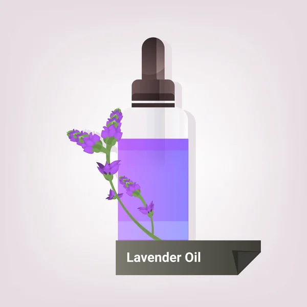 Kapka esenciální levandulový olej skleněná láhev s fialové květiny a tekuté přírodní obličej tělo kosmetické prostředky koncept — Stockový vektor