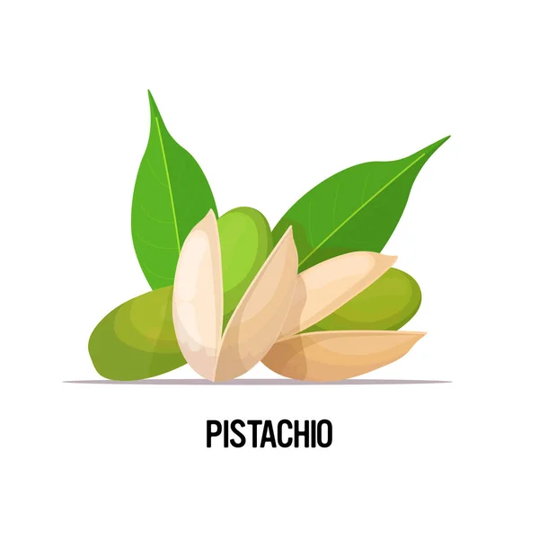 Pistache met bladeren geïsoleerd op witte achtergrond gezond vegetarisch voedselconcept — Stockvector