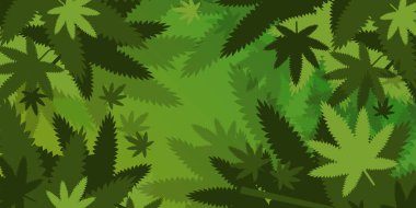 Tıbbi esrar veya marihuana arka planda kenevir bırakarak uyuşturucu tüketim kavramını yatay hale getiriyor