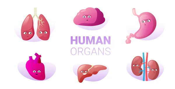 Icono De La Arteria Humanaストックベクター ロイヤリティフリーicono De La Arteria Humanaイラスト ページ 46 Depositphotos