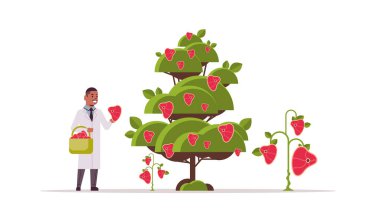 Erkek bilim adamı ağaç organik doğal vegan gıda kavramından et ötesinde bitki temelli vejetaryen bifteği topluyor.