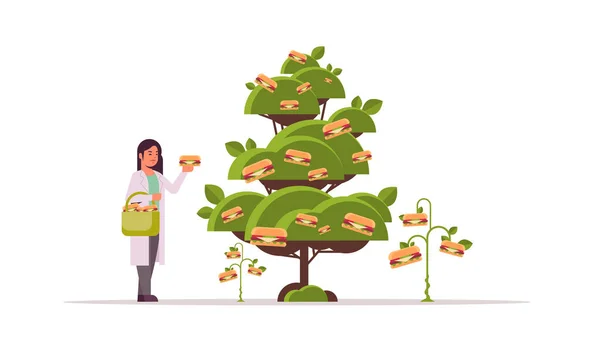 女性科学者は木から肉を超えた植物性ベジタリアンバーガーを選ぶ有機自然ビーガンフードの概念水平方向の完全な長さ — ストックベクタ