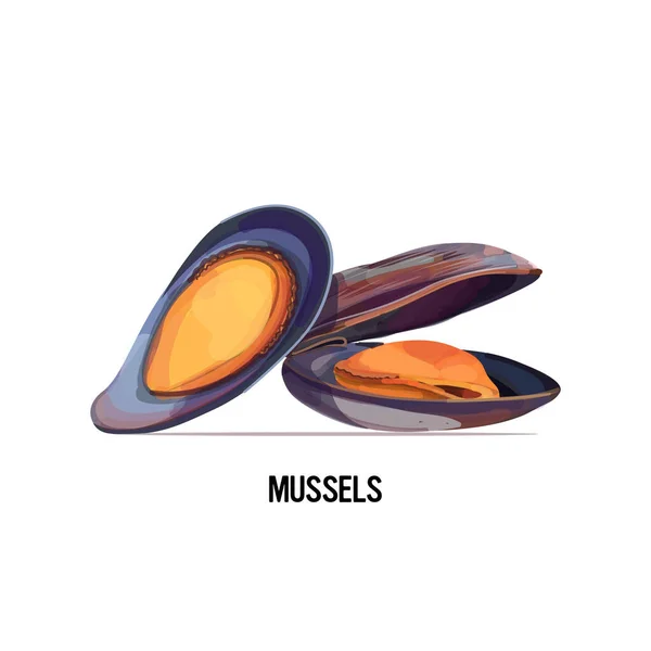 Délicieuses moules de fruits de mer en coquille isolée sur fond blanc — Image vectorielle