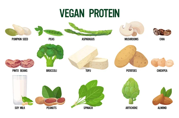 Conjunto de fontes veganas de proteína fresca orgânica vegetariana coleta de alimentos isolado no fundo branco horizontal —  Vetores de Stock