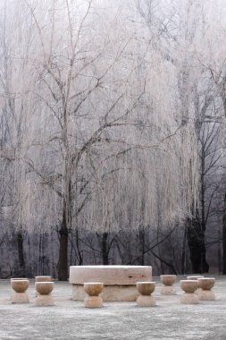 Sessizlik - Constantin Brancusi şaheseri tablosu