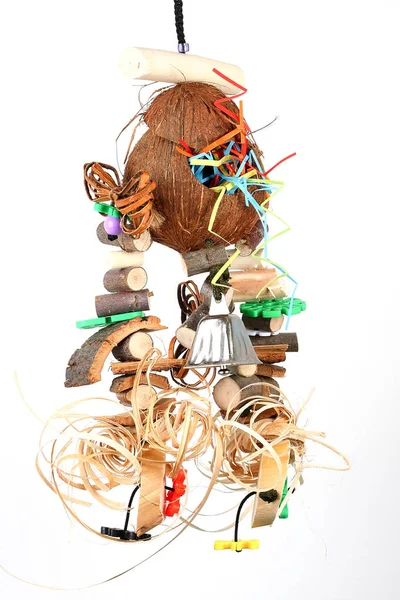 Brinquedo de pássaros com um coco — Fotografia de Stock