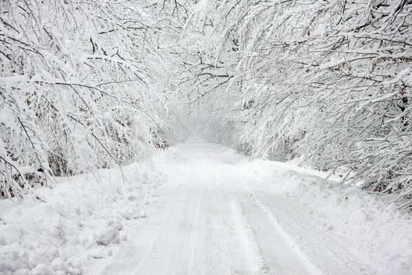 Road covered in heavy snow through a wood — Stock Photo, Image