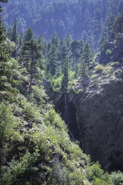 Dağ orman ve şelale