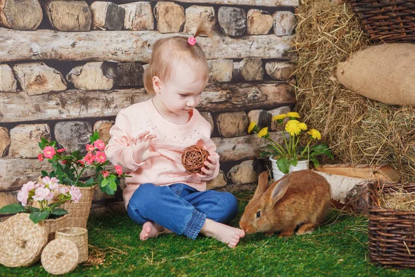 Bambina con un vivace coniglio marrone — Foto Stock