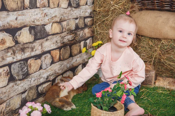 Bambina con un vivace coniglio marrone — Foto Stock