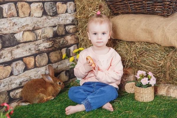 Baby girl with a lively brown rabbit — Stock Photo, Image