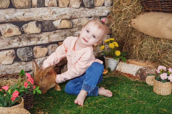 Bambina con un vivace coniglio marrone — Foto Stock