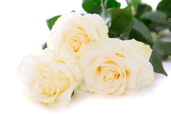 Bouquet Flowers White Background Isolated — Stock Photo, Image