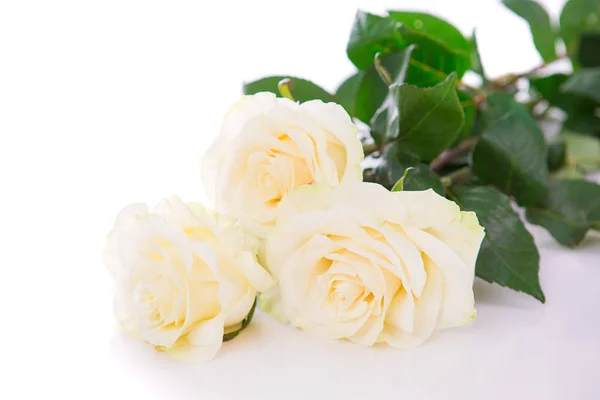 Buquê de flores sobre fundo branco isolado — Fotografia de Stock