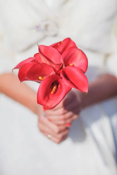 Wedding wedding ring — Stock Photo, Image