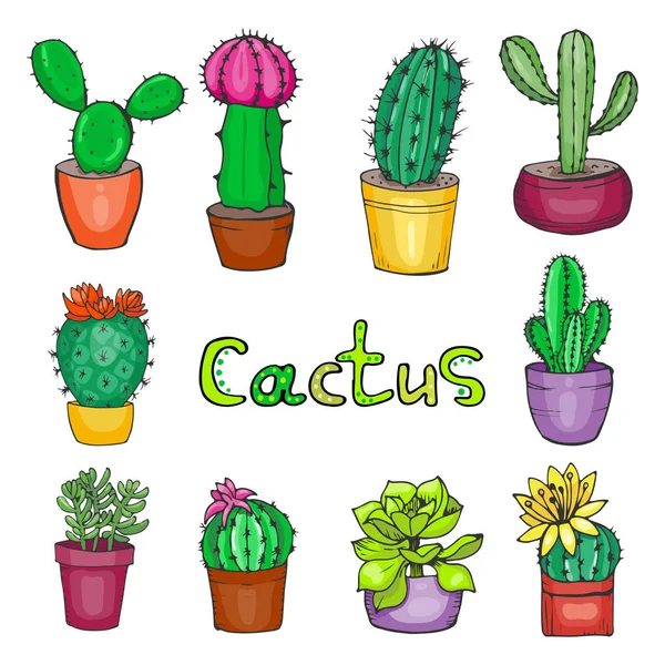 Instellen van de hand getekende cactus en succulenten — Stockvector