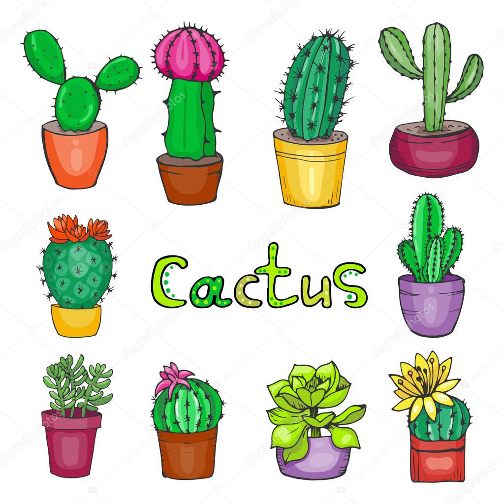 Set of hand drawn cactus and succulent