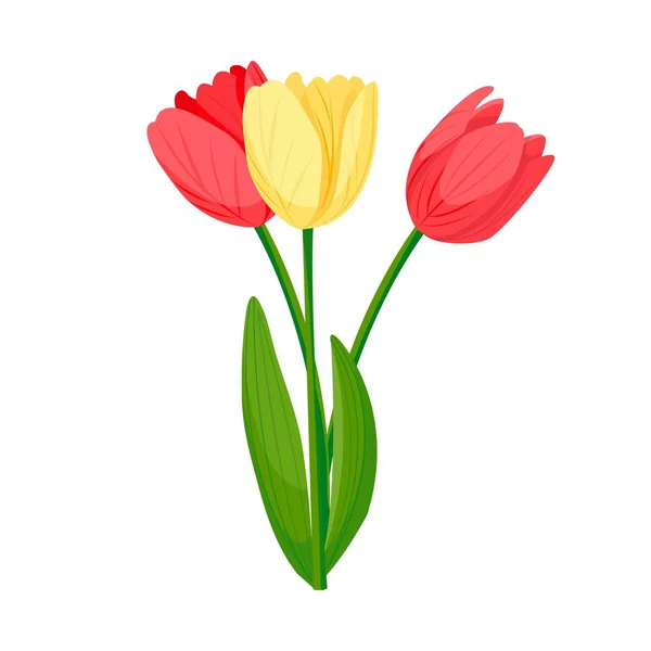 Весенний Букет Тюльпанов Женского Подарка Красный Желтый Цветок Векторная Иллюстрация — стоковый вектор
