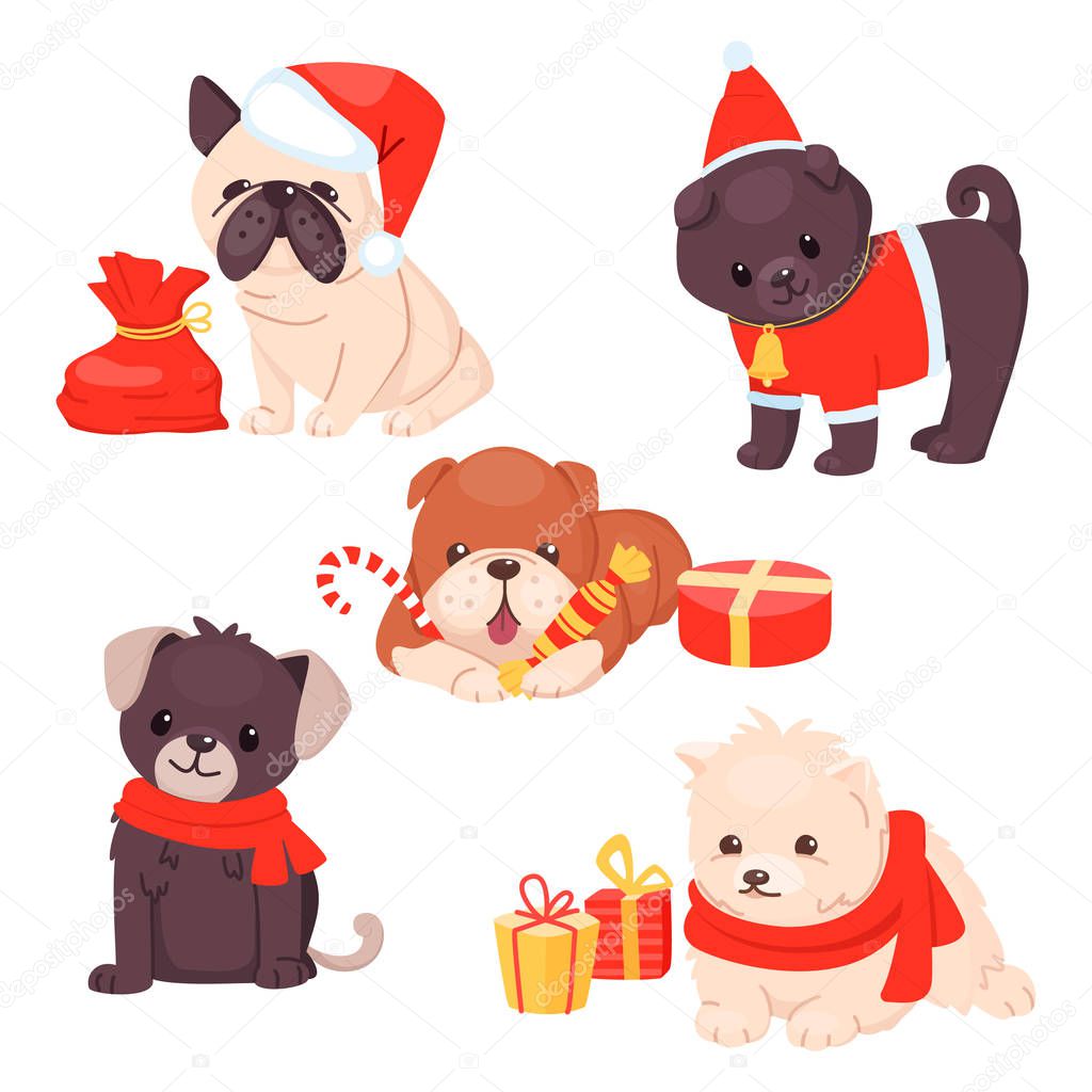 Christmas Puppy set with beautiful cute dogs. Different breeds of happy sitting pets with gifts and scarfs and hats. Vector illustration. Cartoon style.