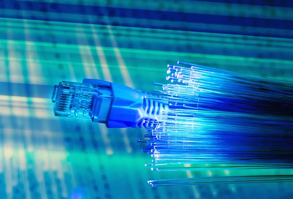 Nätverkskablar Och Ethernet Kablar Data Center Concept — Stockfoto