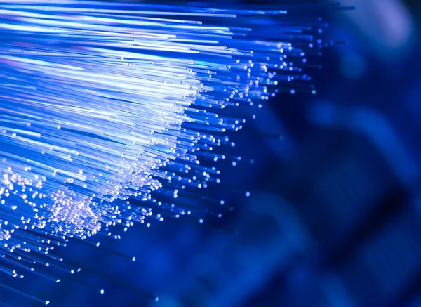 Cavo di rete in fibra ottica — Foto Stock
