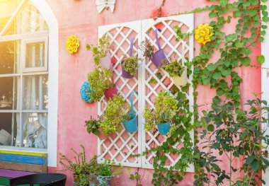 Dekoratif saksıları olan renkli pencereler