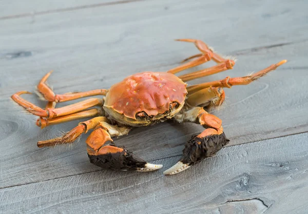 Crabes Poilus Cuisine Chinoise Délicatesse Automne Hiver — Photo