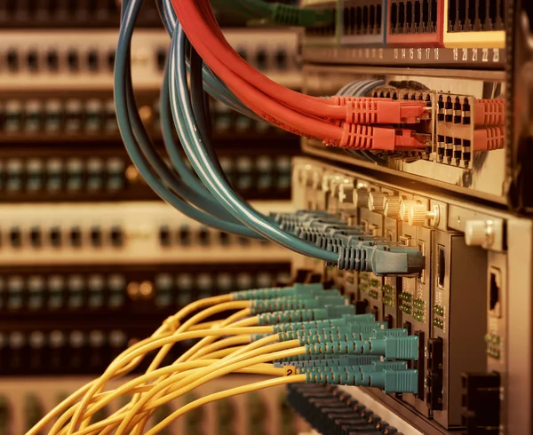 Fiber Optic cables connected to an optic ports and Network cable — Stock Photo, Image