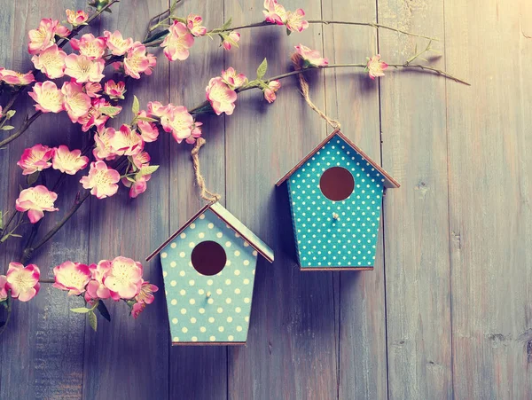 Dwa birdhouses powiesić na wiosenne kwiaty drzewa z antykami w stylu rustykalnym — Zdjęcie stockowe