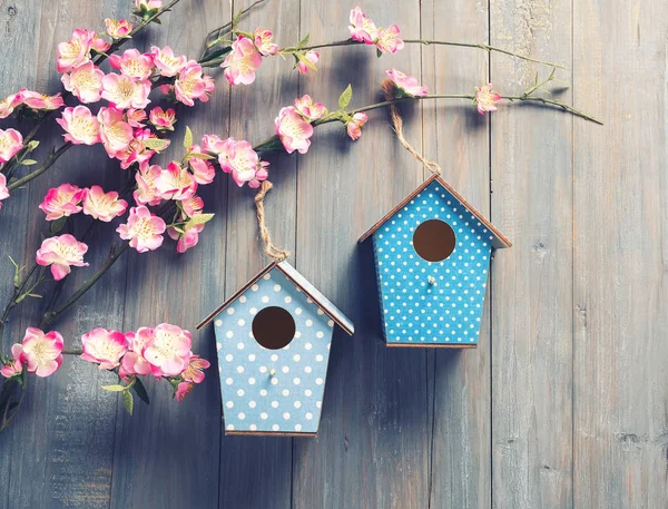 Twee Nestkastjes Hangen Boom Lentebloemen Met Antieke Rustieke Houten Achtergrond — Stockfoto