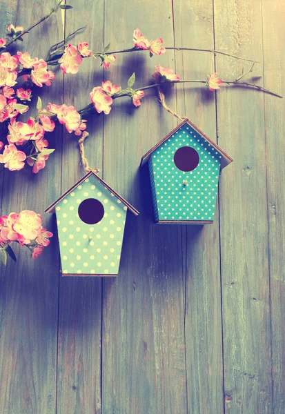 Dwa Birdhouses Powiesić Wiosenne Kwiaty Drzewa Rustykalnym Drewna Tło — Zdjęcie stockowe