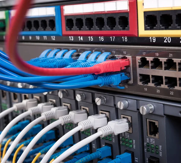 Cables de red conectados dispositivo de datos de telecomunicaciones — Foto de Stock