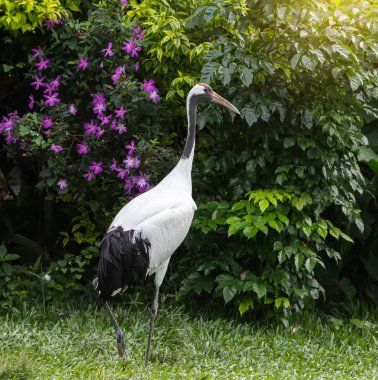 Antika çatlamış kağıt dokusu