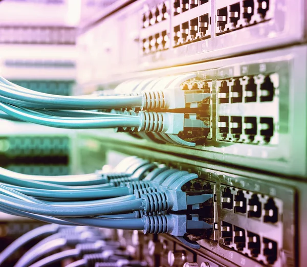 Ethernet-kabel op het netwerk schakelt achtergrond — Stockfoto