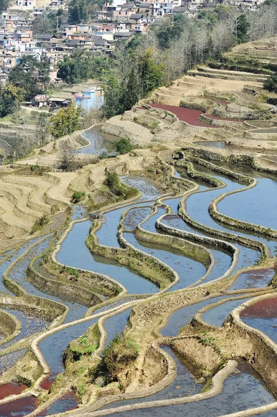 Ορυζώνες της yuanyang σε yunnan, Κίνα — Φωτογραφία Αρχείου