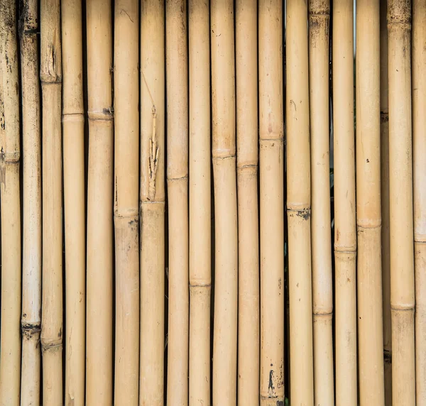 Cerca Feita Paus Bambu — Fotografia de Stock