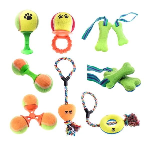 Pet Toy Collection White Background — Stock Photo, Image