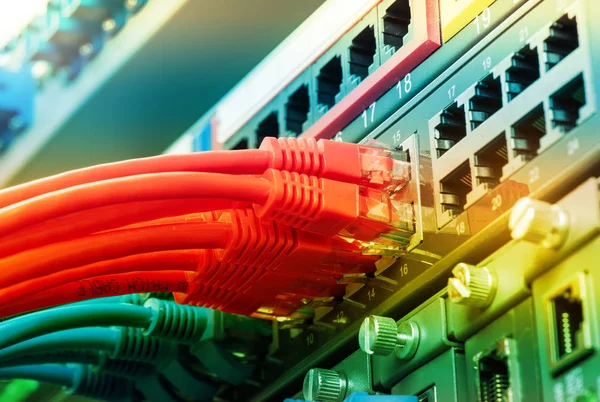 Netzwerkkabel Netzwerk Switches Verbunden — Stockfoto