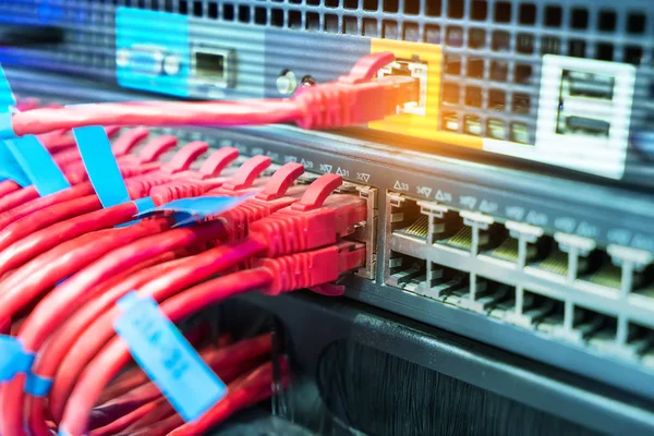 Network Switch Ethernet Cables Data Center Concept — Stock Photo, Image