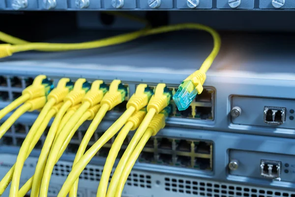 Nätverkspanel Switch Och Kabel Datacenter — Stockfoto