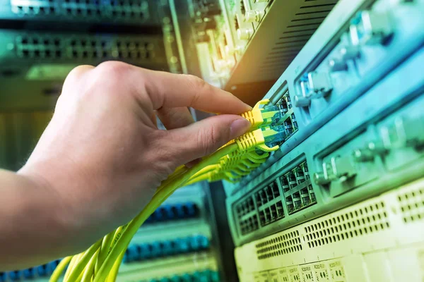 Hand Administrator Holding Network Cables Connected Servers — Stock Photo, Image