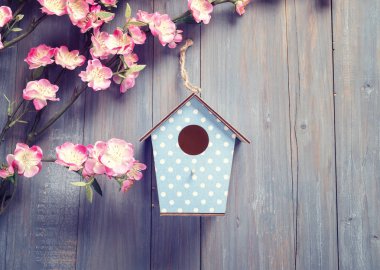 kuş evini asmak bahar ağacı çiçekleri 