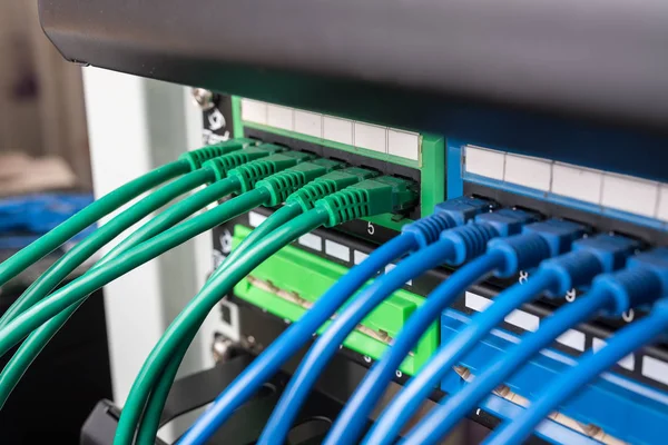 Netzwerkkabel Die Mit Einem Switch Verbunden Sind — Stockfoto