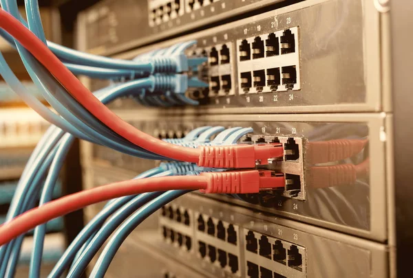 Kable Sieciowe Podłączone Przełącznika — Zdjęcie stockowe